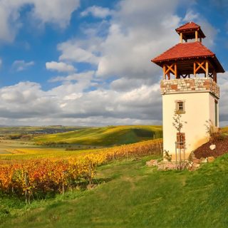 Siegerfoto: Michael Ottersbach