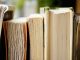 Lesen videmusart