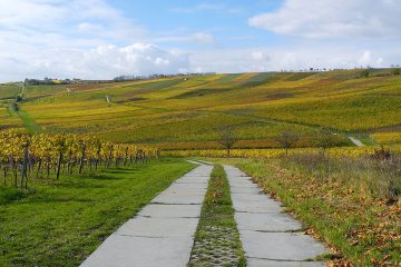 1712 Rheinhessen Zornheims Hiwweln