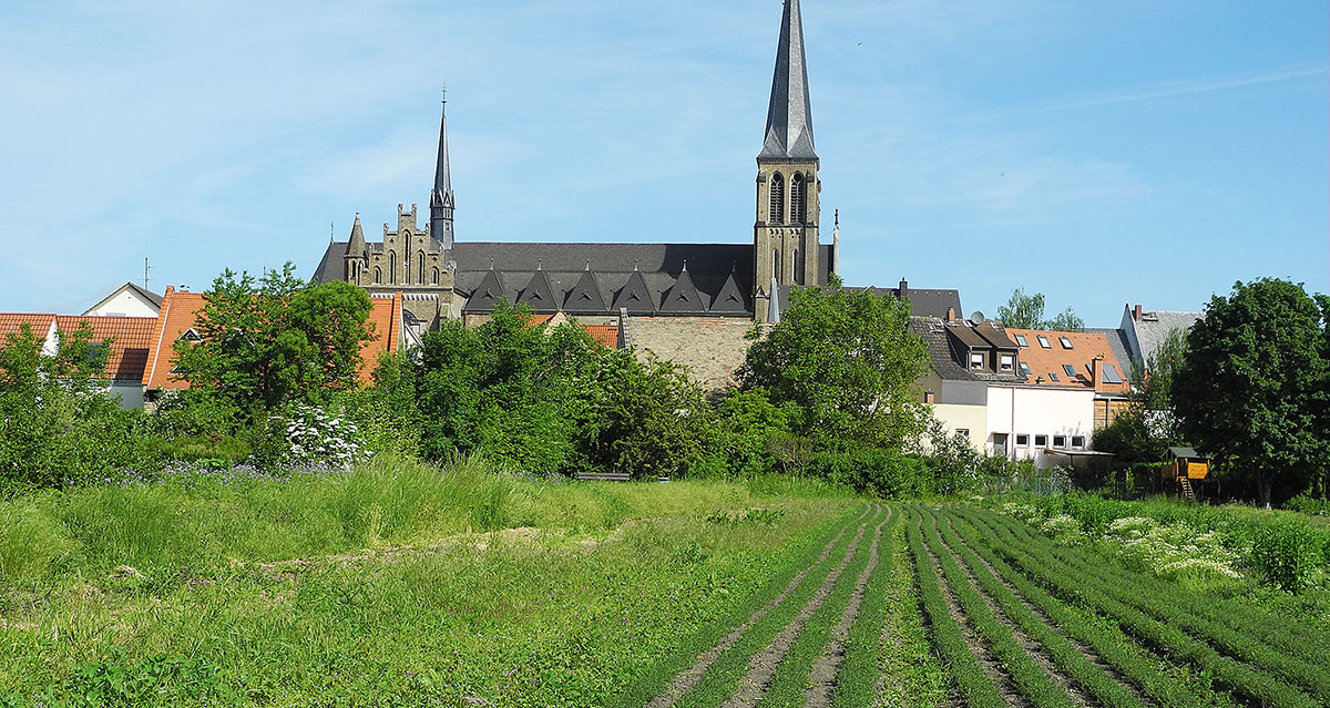 Gonsenheim Gonsenheim