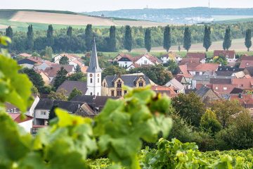 1806heimersheim-weingut-lawall-stoehr