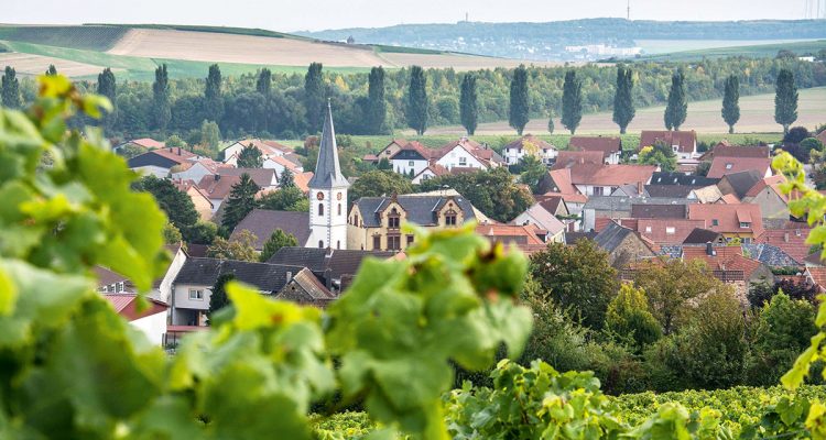 1806heimersheim-weingut-lawall-stoehr