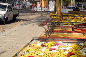 1811_spitzfindig-inselplatz