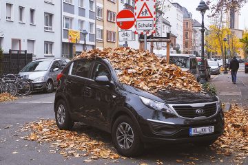 1812gesellschaft-mainz-ausser-kontrolle-parken