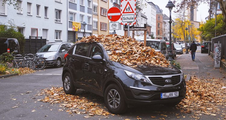 1812gesellschaft-mainz-ausser-kontrolle-parken