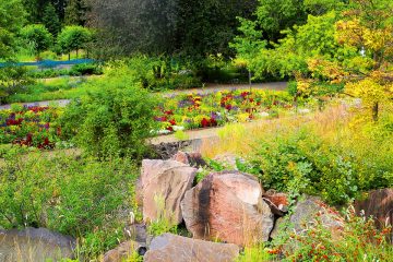 Botanischer Garten