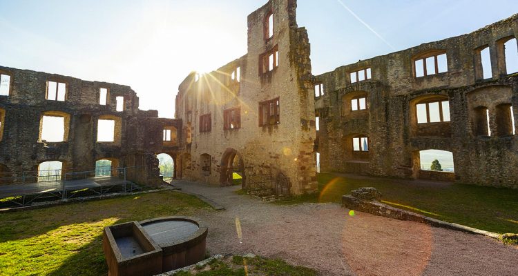 Burgruine Landskrone Weinwanderungen