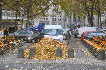 Laub - froh und munter