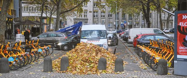 Laub - froh und munter