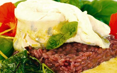 Pochiertes Zander-Filet