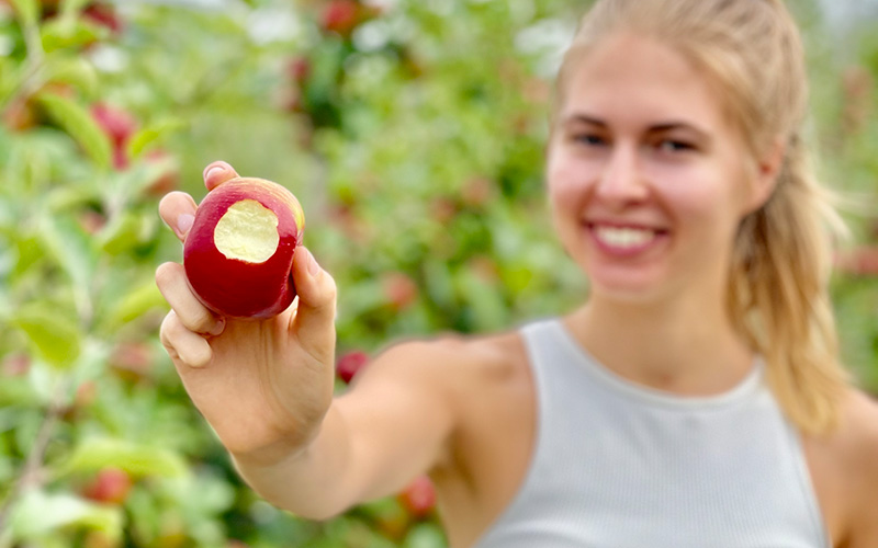 Äpfel selbst pflücken