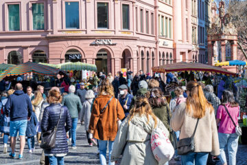 Freizeit Marktplatz Mainz