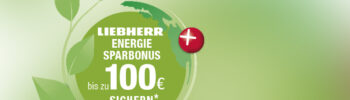 Energiesparbonus