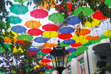 Umbrella Sky