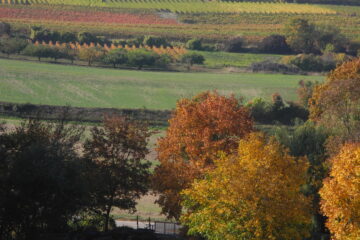 Rheinhessische Lesezeit: Selztal im Herbst