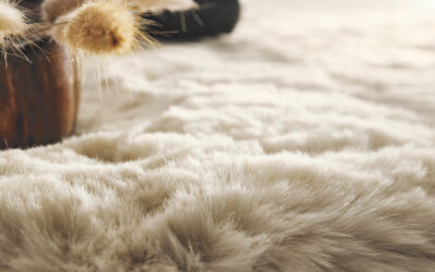 Furry Felows
