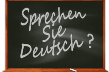 Parallelwelt, Kommentar zur AFD